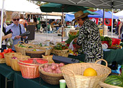 Scottsdale Farmers Market Ride Saturday, Dec. 17th
