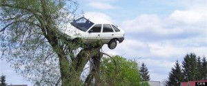 pictured: car on tree in Lubczyna. Fed up neighbours put the brakes on a boy racer after months of being driven barking by his antics - by hoisting his car to the top of a tree. Road hog Zbigniew Filo, 24 - who doesn't even have a licence - woke to find his souped up white Ford Escort dangling from a huge willow tree in Lubczyna, Poland. Locals have refused to say who carried out the prank, but have revealed that one villager's mobile crane was borrowed for the night. Police spokesman Marta Pierko confirmed: "We received a call from a man saying his car was stuck in a tree, and that his neighbours had put it there." "After inspecting the site we instructed him to remove it from the tree," she added. One local explained: "Whoever, or whatever it was, it’s probably a good thing as he was a dangerous driver and could have killed someone. "Perhaps he’ll think twice about his hair-raising driving and about getting a licence or who knows where his next car might end up?" Now shamefaced Filo has promised to change his driving style. "I get the message, but I think it was a bit harsh," he said..
